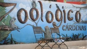 Detenidos 2 jóvenes por desmontar estructuras del Zoológico de Cárdenas