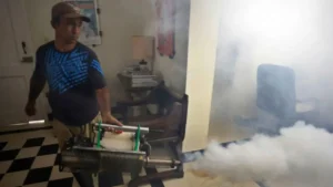 OPS alerta que la crisis en Cuba frena la lucha contra el dengue y la chikungunya