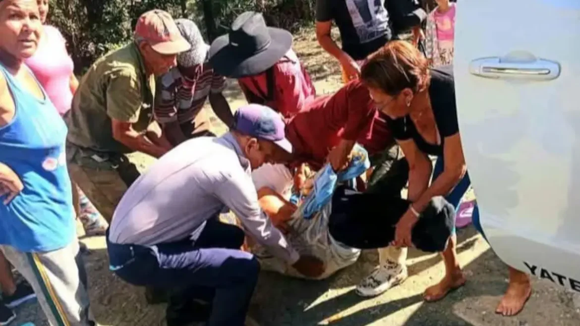 Hombre lesionado tras caer de una palma en Yateras