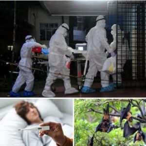 India refuerza la vigilancia sanitaria tras nuevos casos del virus Nipah. 