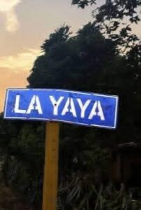 Asesinan enfermera en un cañaveral en La Yaya, Sancti Spiritus