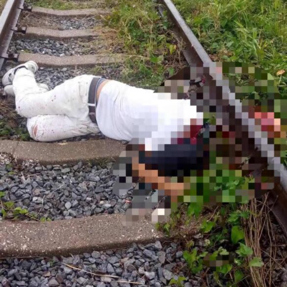 Encuentran hombre decapitado en línea del tren de San Cristóbal, Artemisa