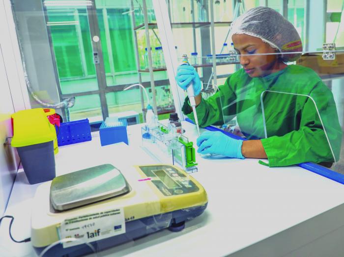 Cuba implementa una "estrategia proactiva" contra el chikungunya usando Biomodulina T