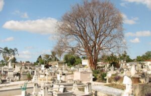 Profanan tumba familiar en el cementerio de Santa Clara