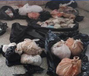 Decomisan 121 kilos de productos marinos ilegales en aeropuerto de Holguín, con destino a Estados Unidos