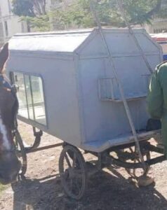 Tracción animal para trasladar fallecidos en Santiago de Cuba: la “solución” oficial que evidencia la crisis del combustible