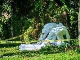 Encuentran muerto joven de Villa Clara en Chiapas tras reciente deportación