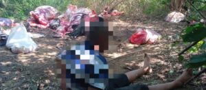 Desarticulan redes de hurto y sacrificio de ganado en Guantánamo