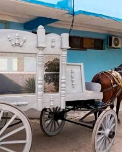 Carrozas fúnebres tiradas por caballos en Bayamo evidencian crisis en servicios funerarios