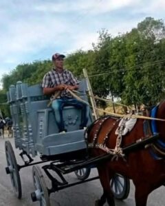 Carrozas fúnebres tiradas por caballos en Bayamo evidencian crisis en servicios funerarios