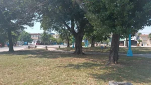 Piden ayuda para localizar a Miguel Martínez Mesa, desaparecido en La Habana