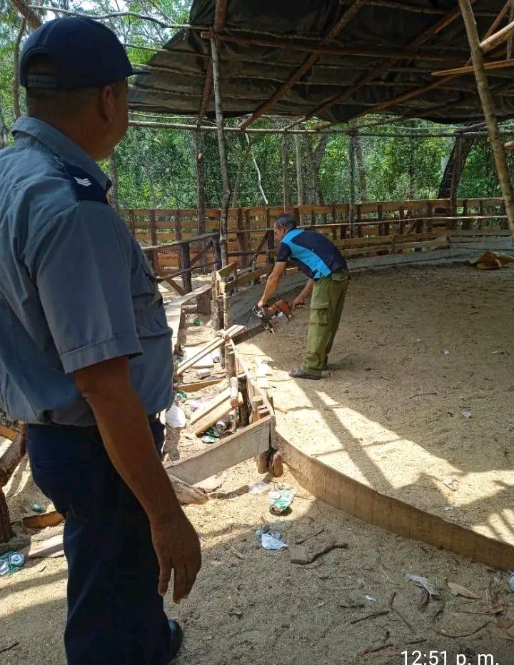 Autoridades intervienen valla de gallos clandestina en Pinar del Río