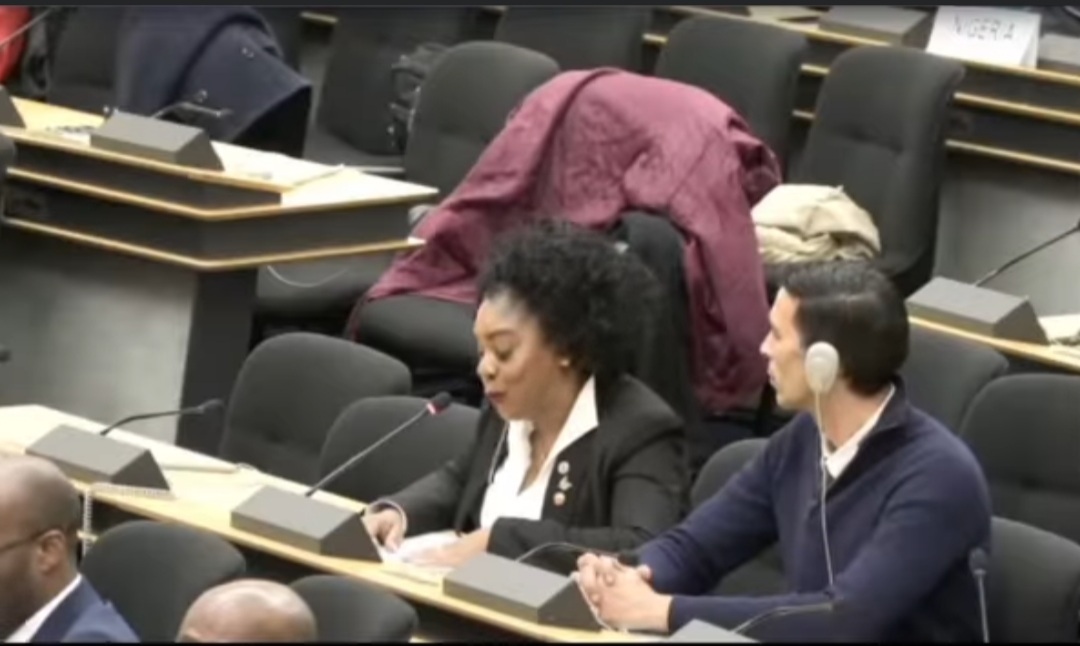 De La Habana a Ginebra: la denuncia de una cubana afrodescendiente que hizo temblar al régimen en la ONU