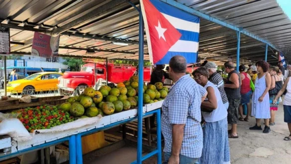 España destina medio millón de euros a alimentos para Cuba a través del mecanismo de conversión de deuda
