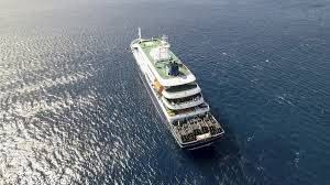 Brote de hantavirus en el crucero MV Hondius: qué se sabe y por qué no representa un escenario como la COVID-19.